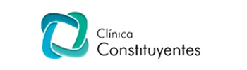 Constituyentes